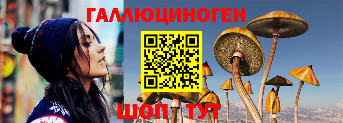 Алапаевск  Псилоцибиновые грибы GOLDEN TEACHER  где найти наркотики  Вход с VPN 