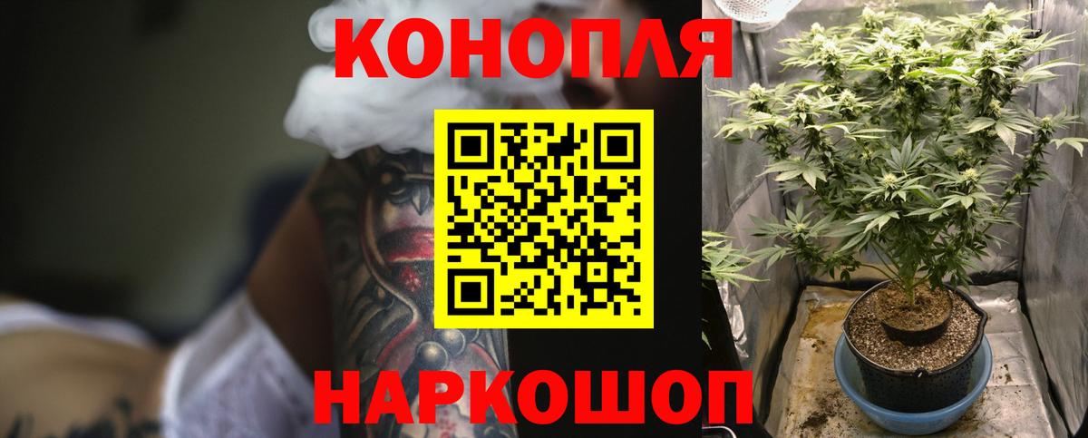 Каннабис планчик  Вход с VPN  Марихуана Amnesia  Алапаевск  Бошки Шишки семена  Каннабис THC 21% 